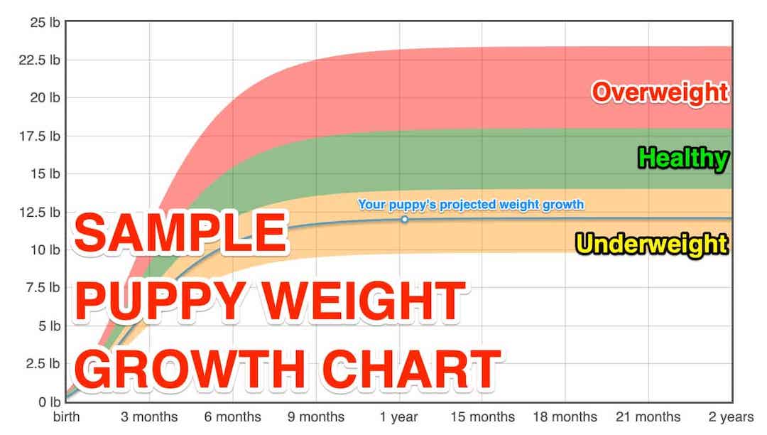 Puppy Weight Growth Chart