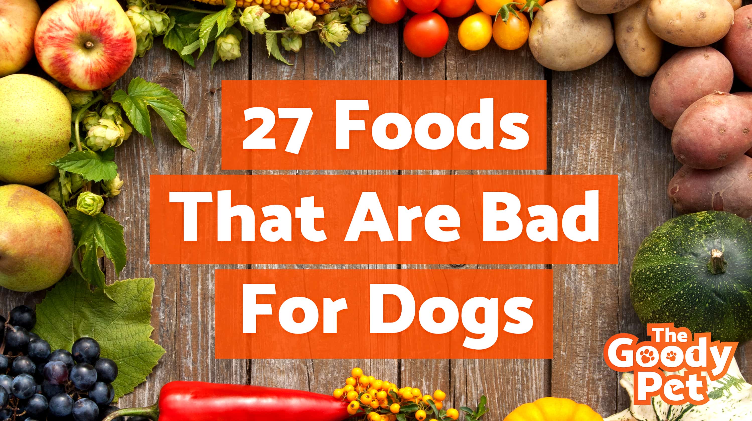 The 27 Worst Foods That Are Bad For Dogs Warning Toxic TheGoodyPet