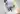 Dog's Body Temperature: What Is Normal And What Is Not?