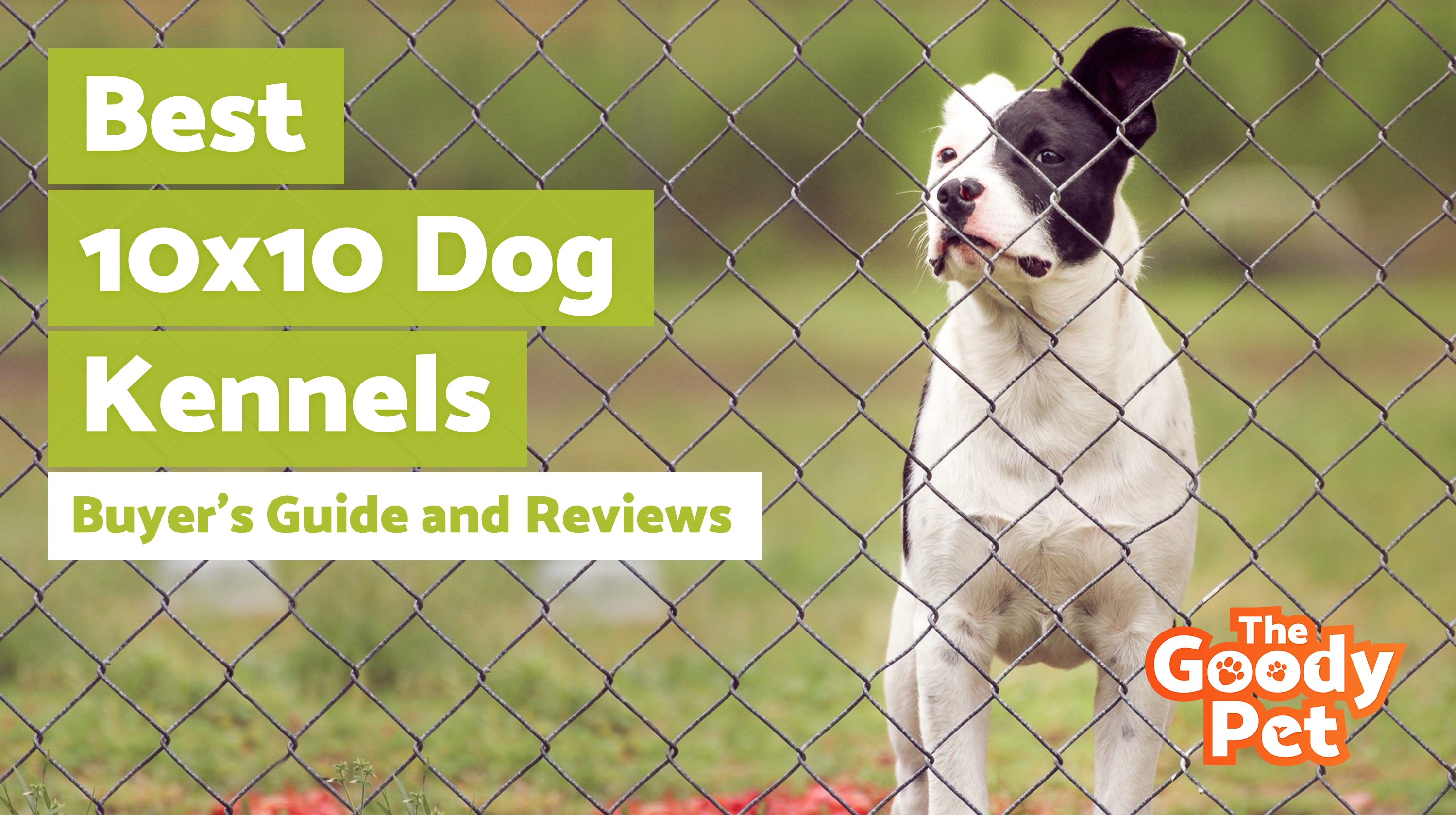 5 Best 10x10 Dog Kennels (January 2020) TheGoodyPet