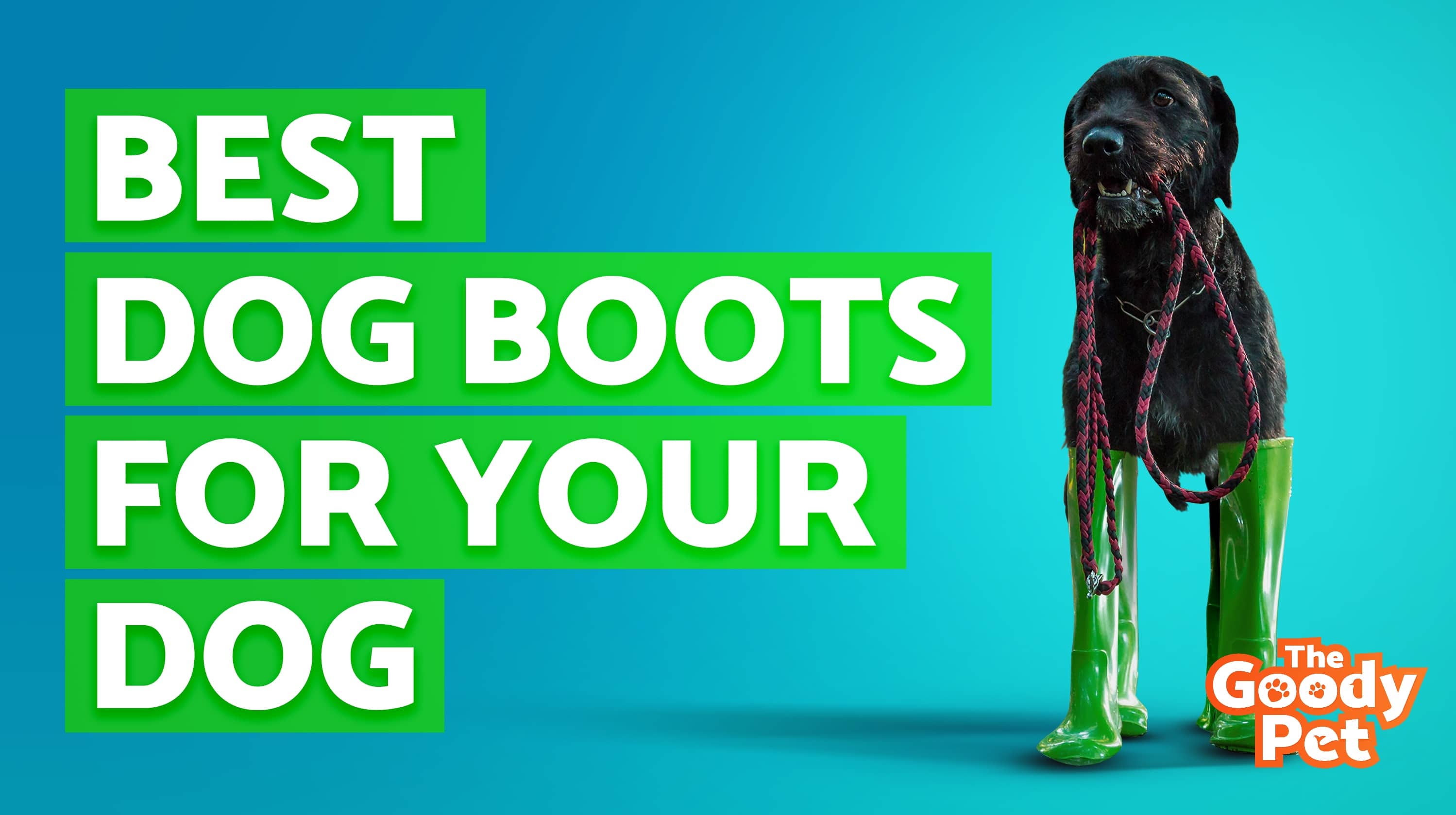 Best Dog Boots That Actually Stay On! (December 2019) | TheGoodyPet 