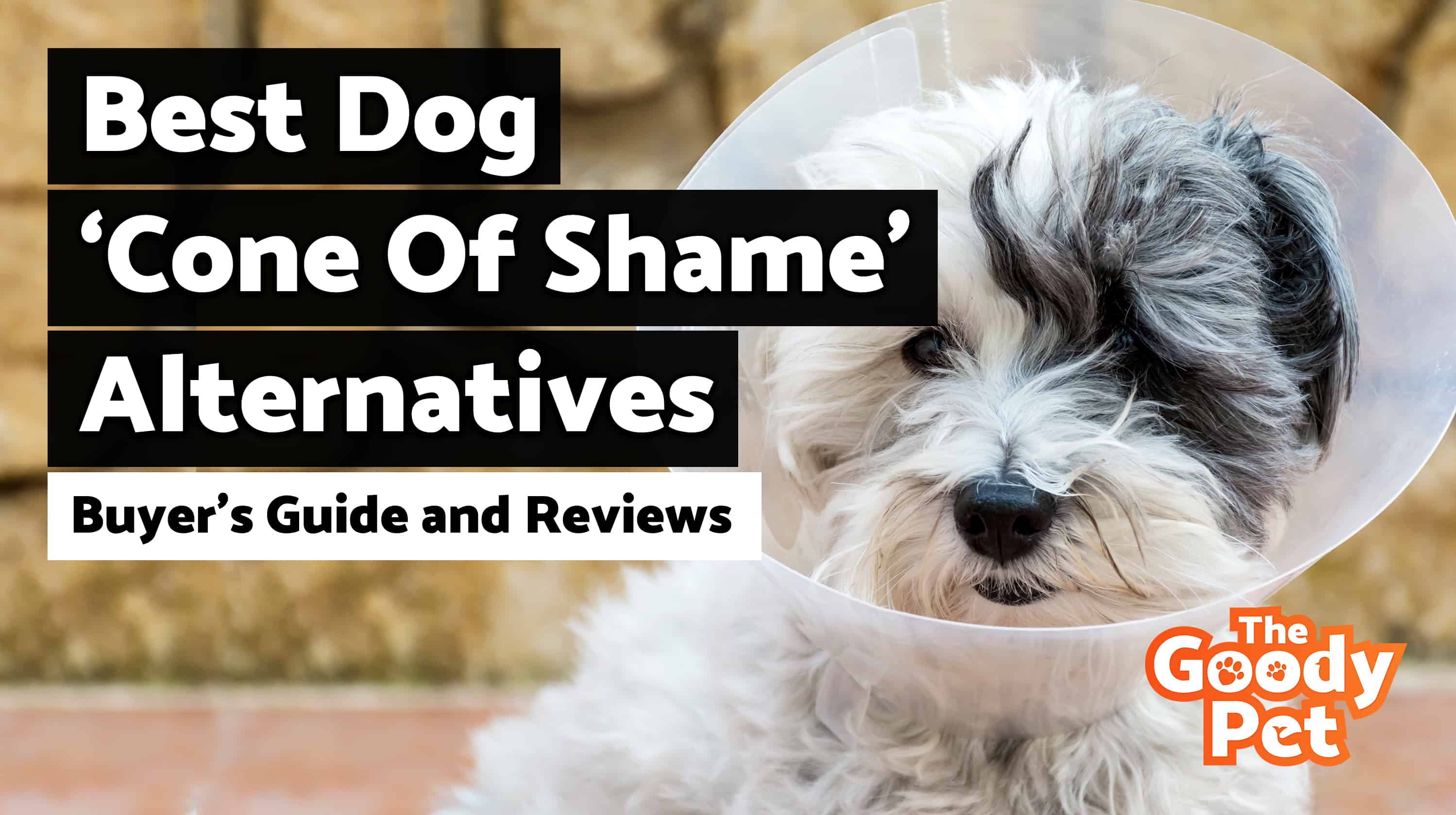 9 Best Dog Cone Of Shame Alternatives January 2020 Thegoodypet