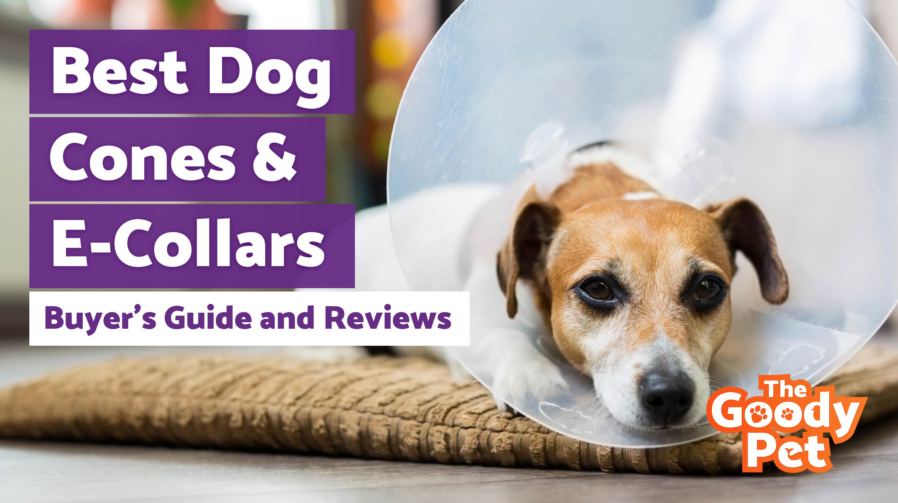 Best Dog Cones & Elizabethan Collars – Our 2019 Reviews & Top Picks