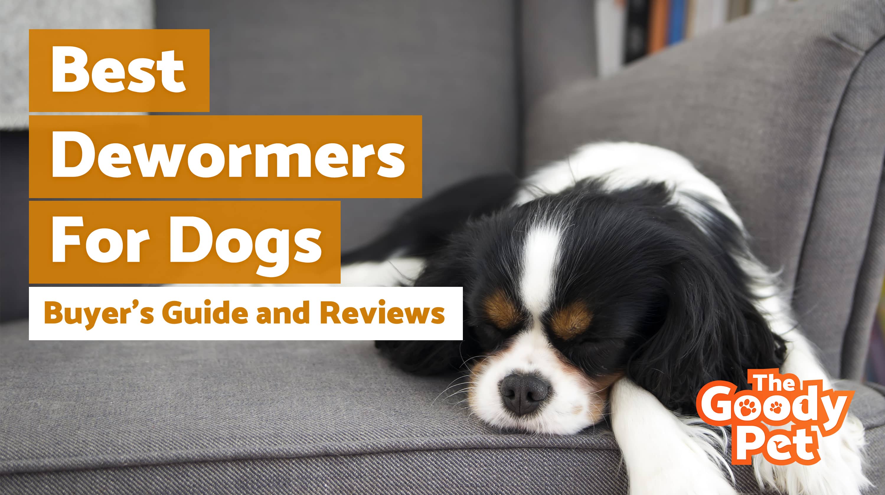 Worried Your Dog Took Too Much Dewormer?  Urgent Signs! - 9ew897u