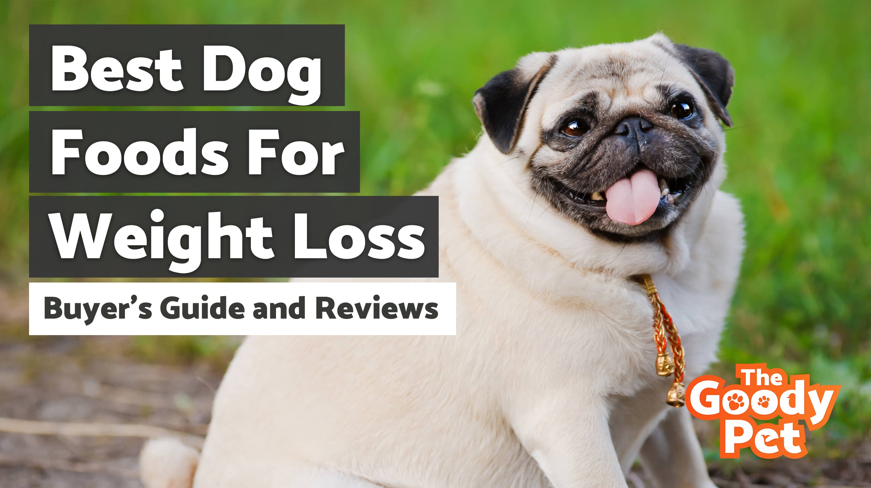 8 Best Dog Foods For Losing Weight (January 2020) TheGoodyPet