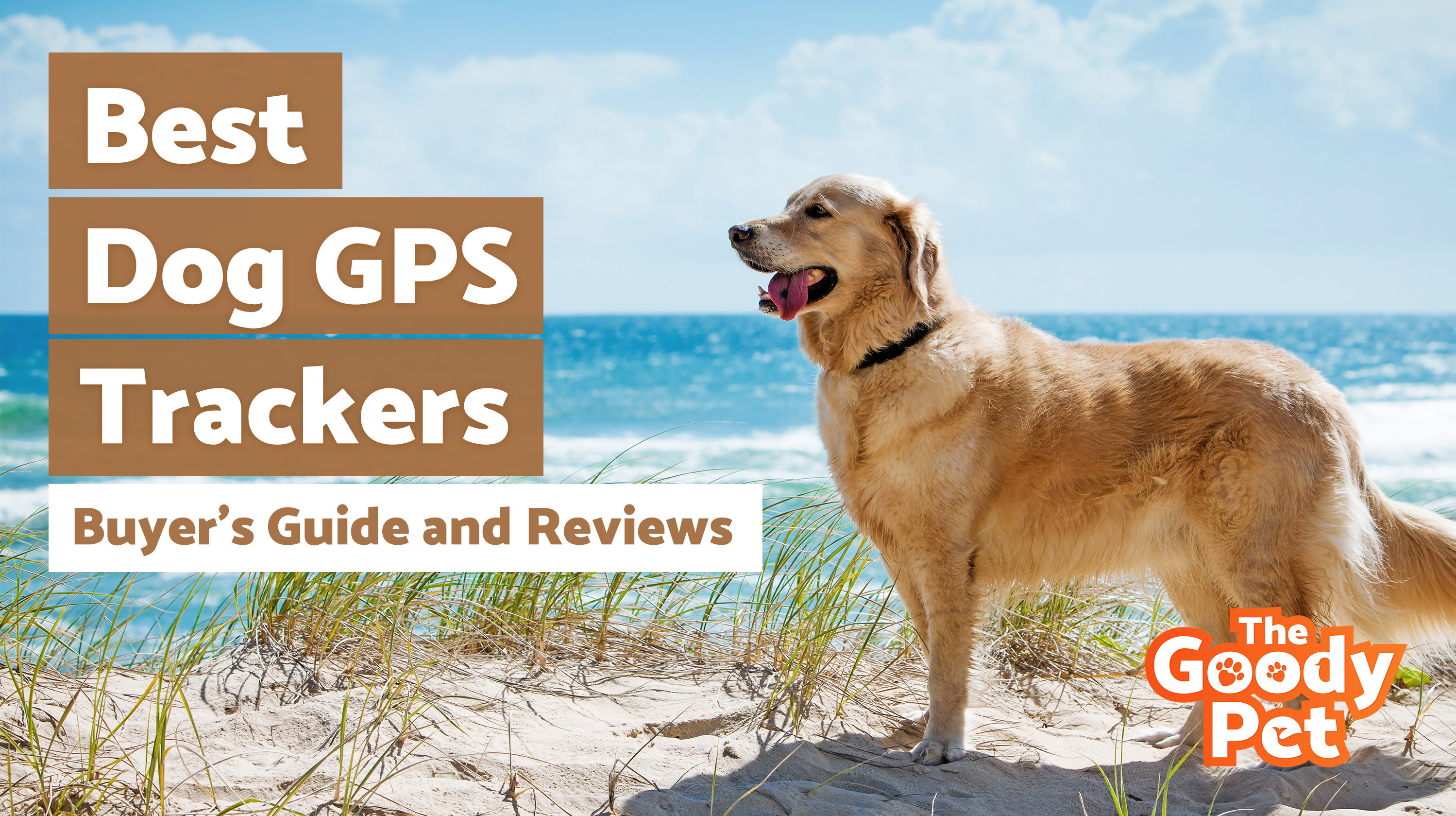 6 Best Dog GPS Trackers (October 2019) TheGoodyPet
