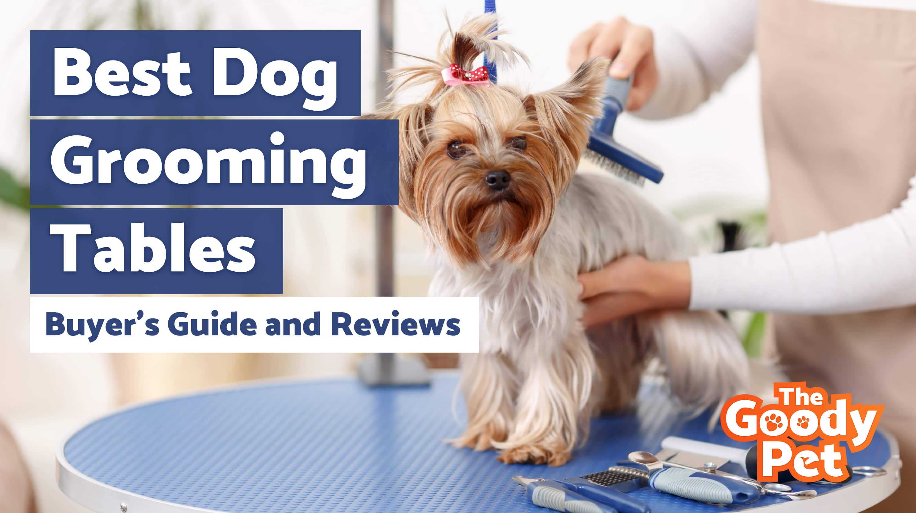 Best Dog Grooming Tables For Your Furry Friend – Our 2019 Reviews & Top Picks