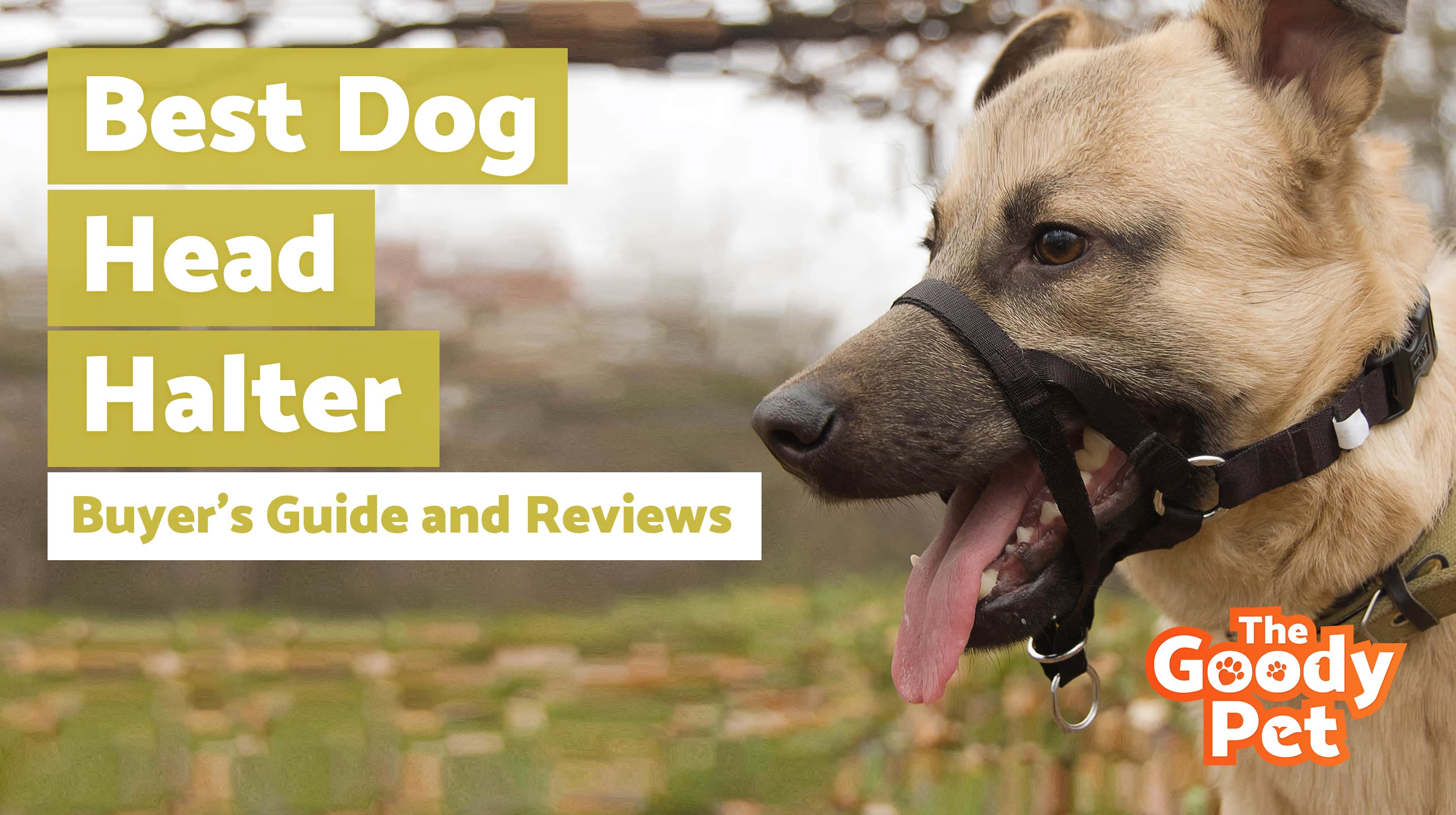 5 Best Dog Head Halters (December 2019) TheGoodyPet