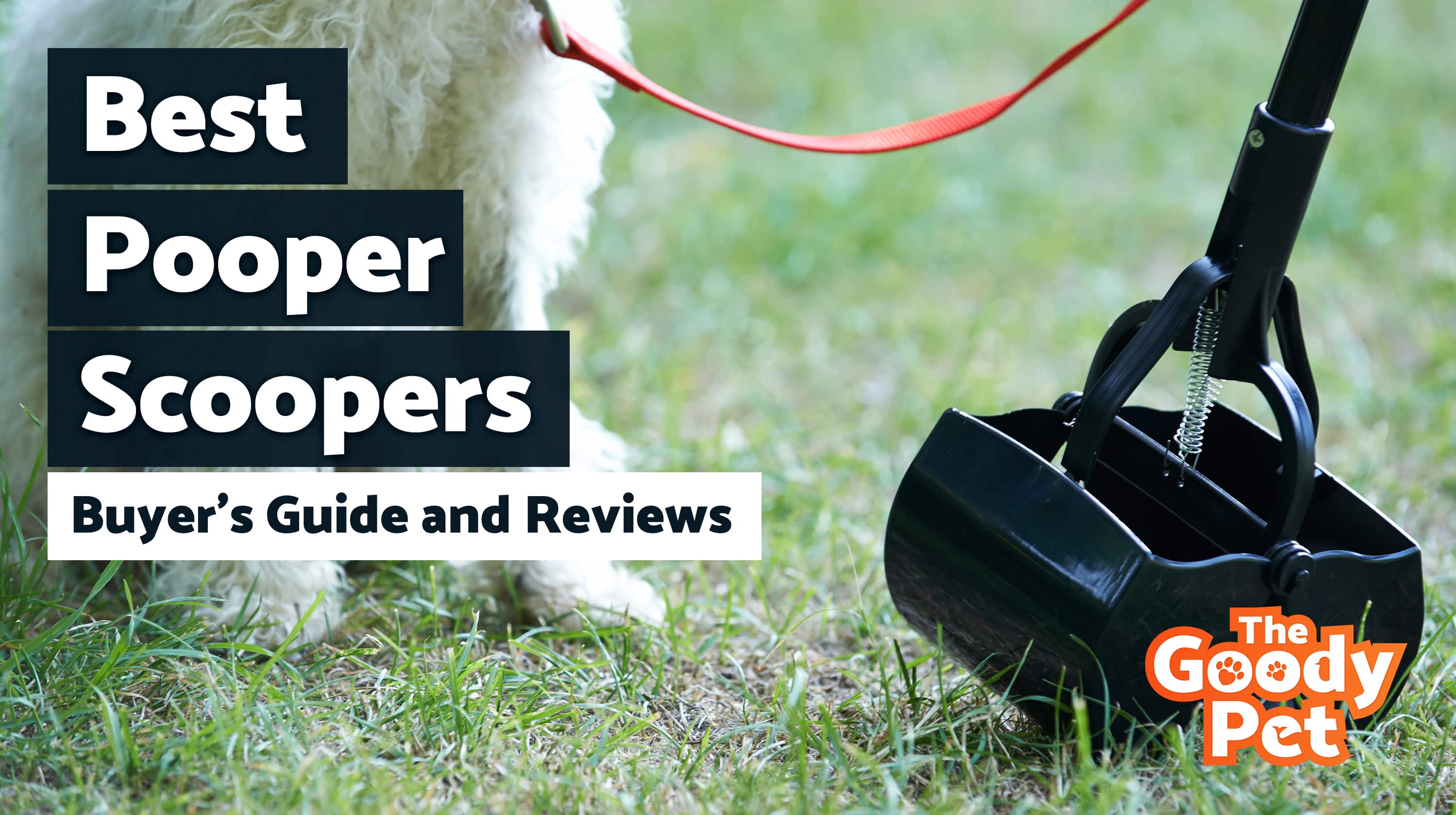 8 Best Dog Pooper Scoopers (December 2019) TheGoodyPet