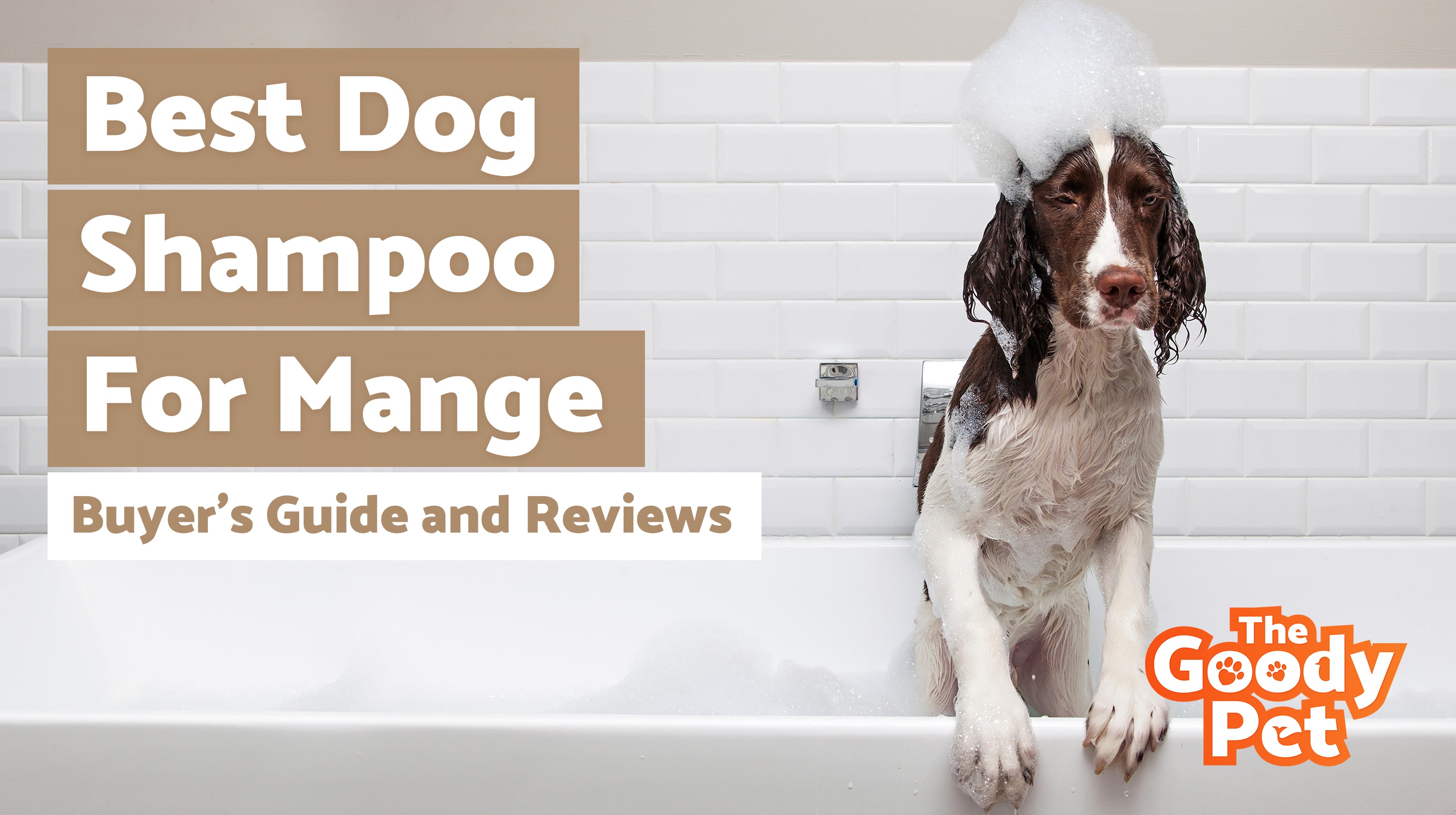 5 Best Dog Shampoo For Mange (February 2020) TheGoodyPet