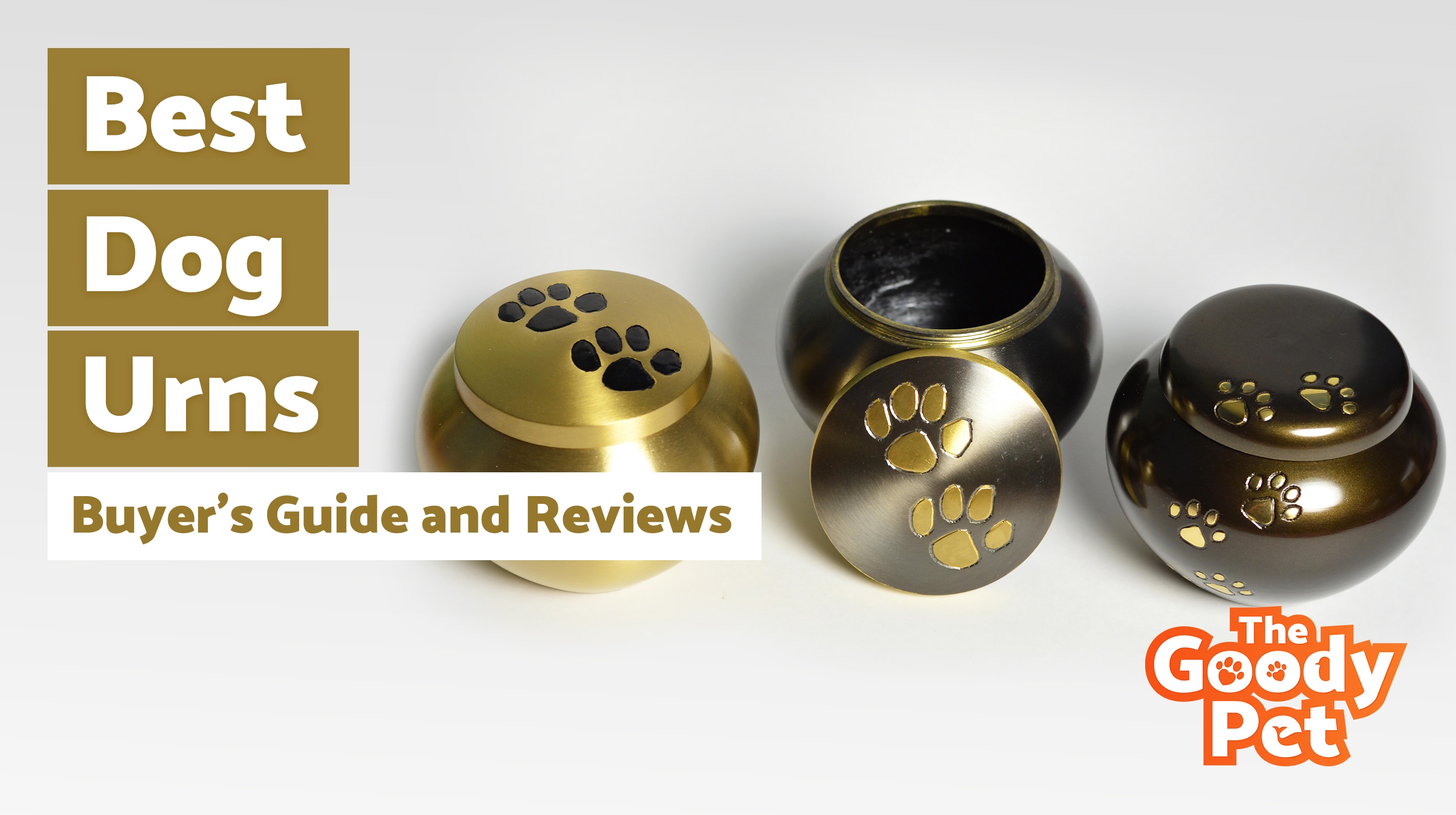 8 Best Dog Urns (March 2020) TheGoodyPet