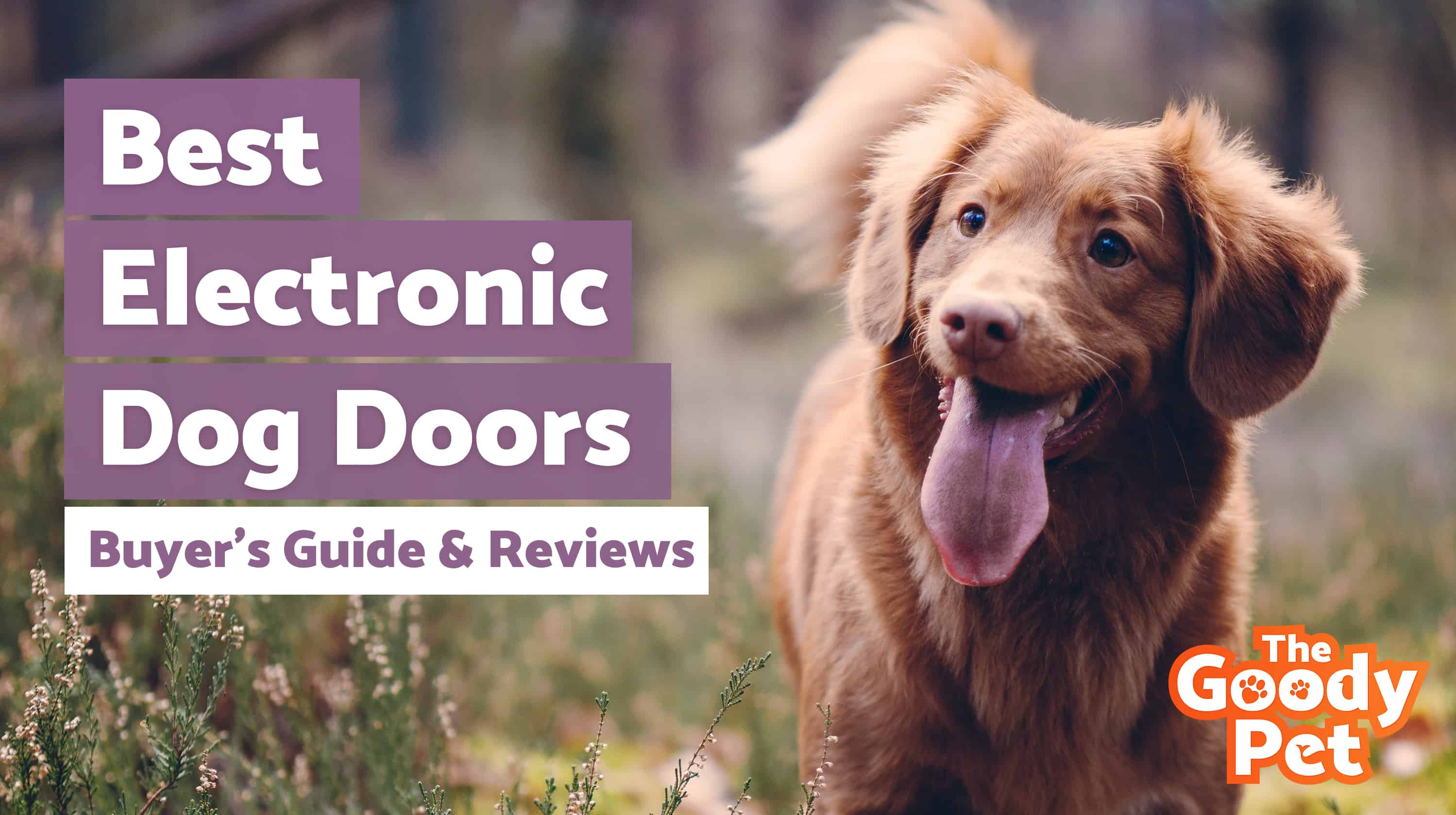 7 Best Electronic Dog Doors (December 2019) TheGoodyPet