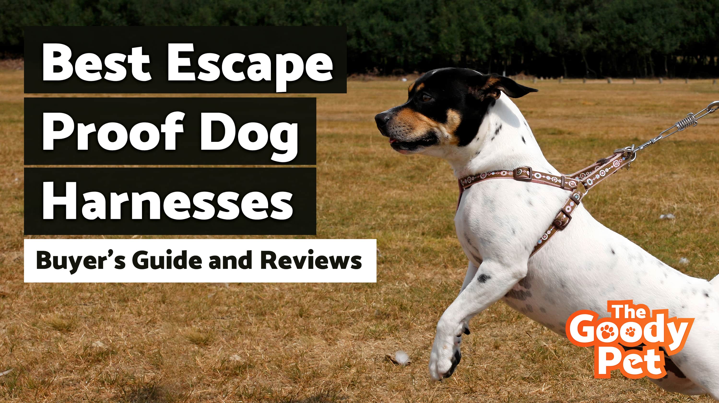8 Best Escape