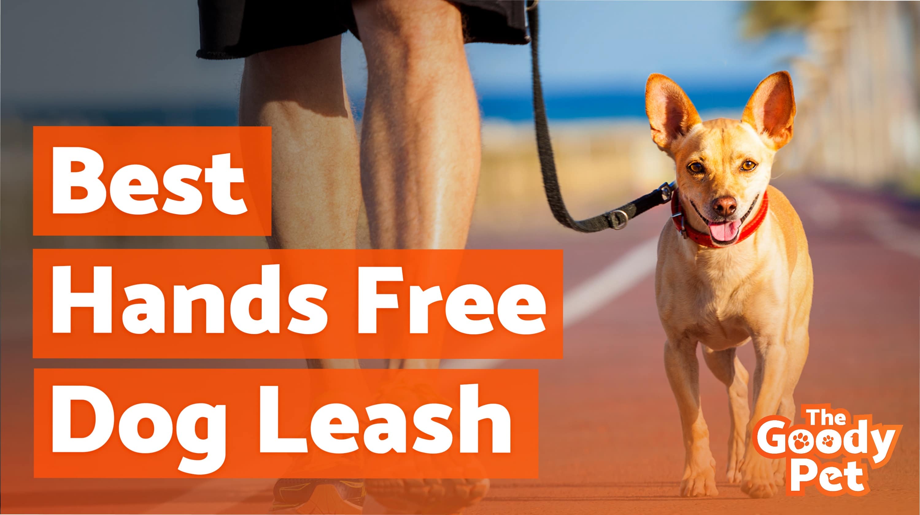 Best Hands Free Dog Leashes For Running (March 2020) TheGoodyPet