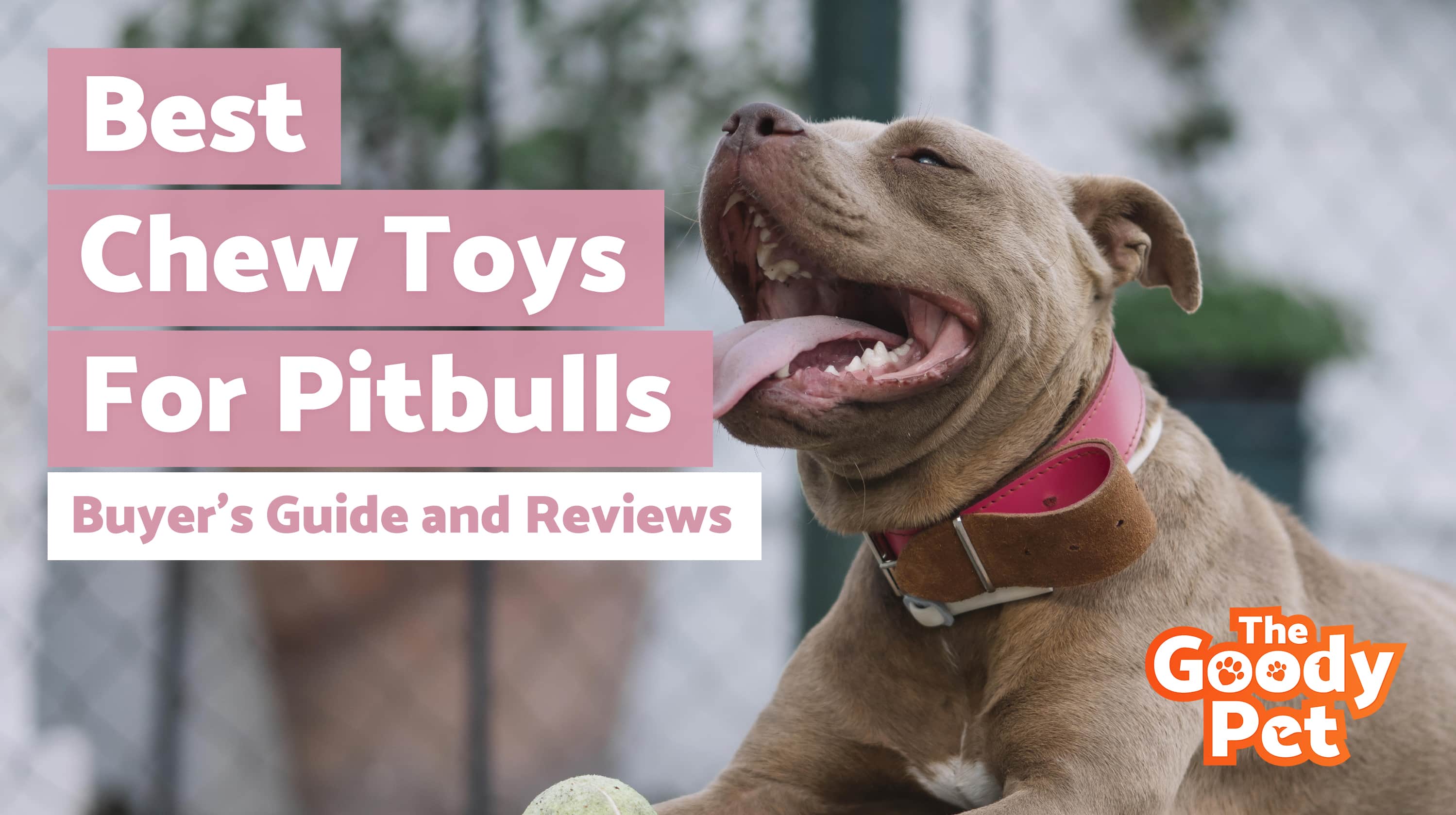 Best Indestructible Dog Chew Toys For Pit Bulls – Our 2019 Reviews & Top Picks
