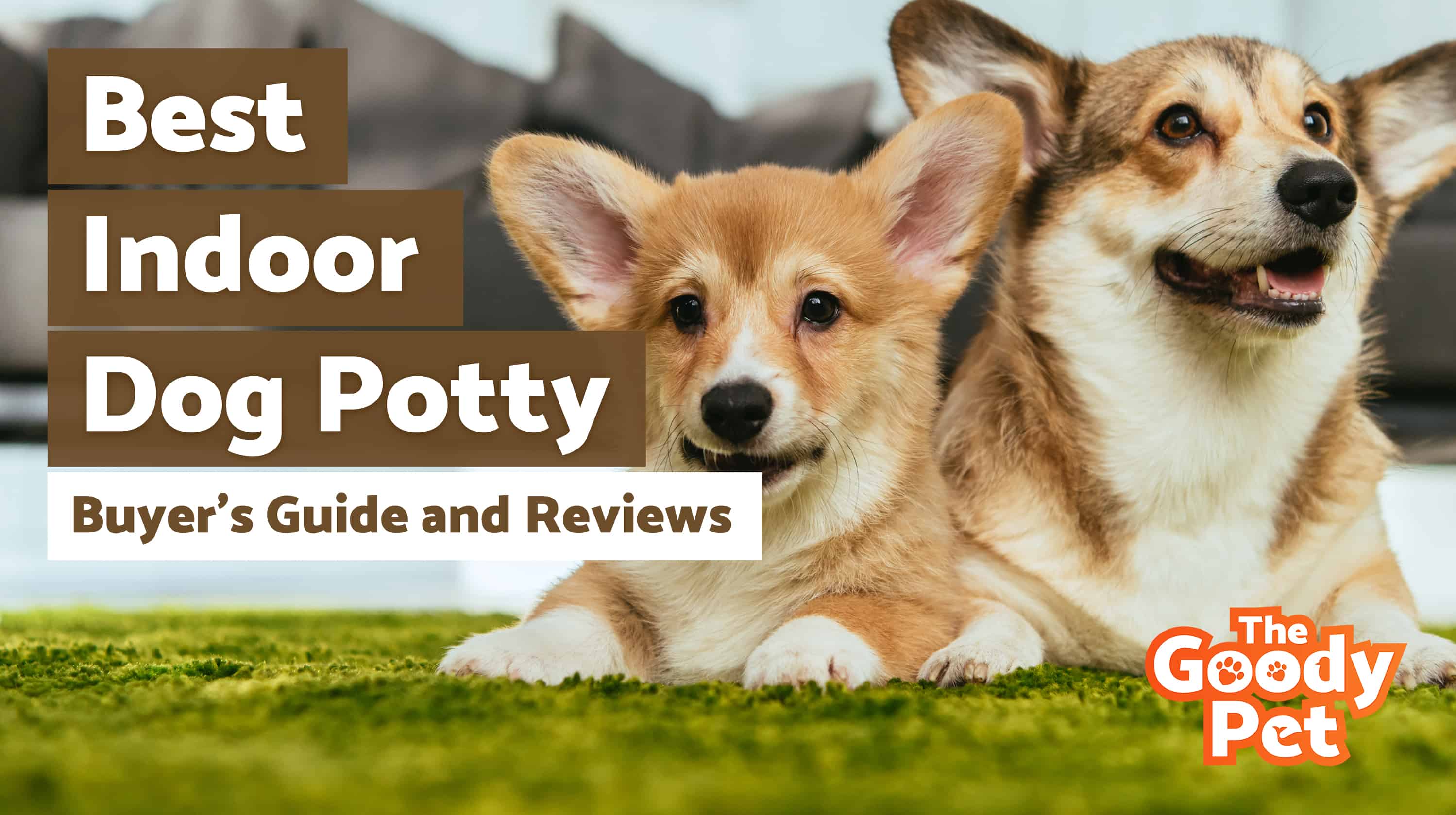 6 Best Indoor Dog Potty (October 2019) TheGoodyPet