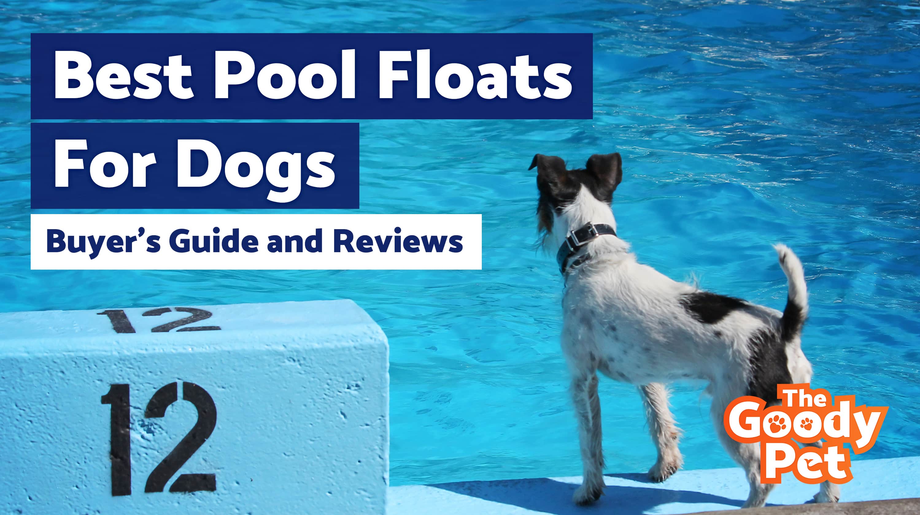 dog pool float with canopy