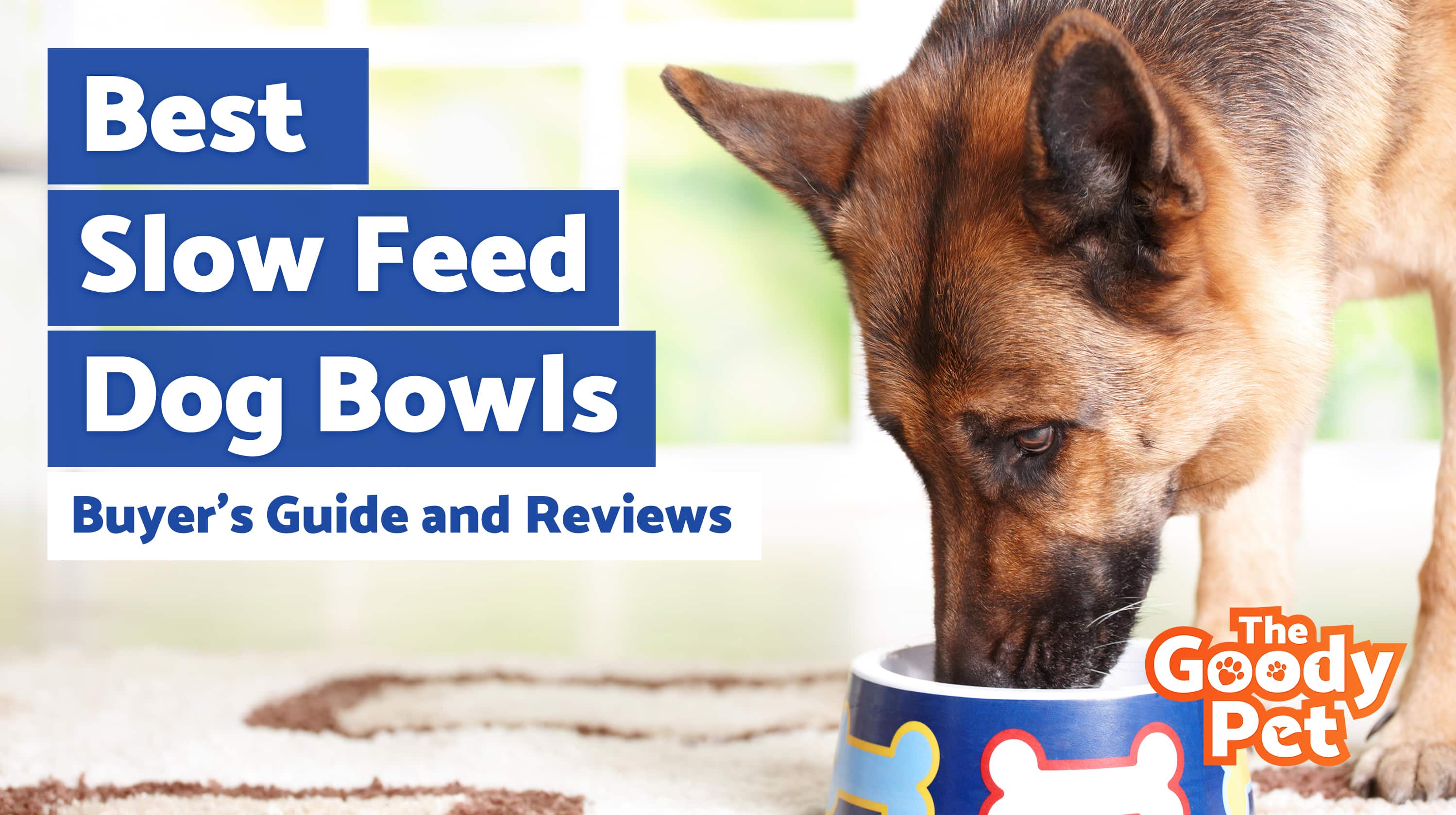 8 Best Slow Feed Dog Bowls February 2020 Thegoodypet