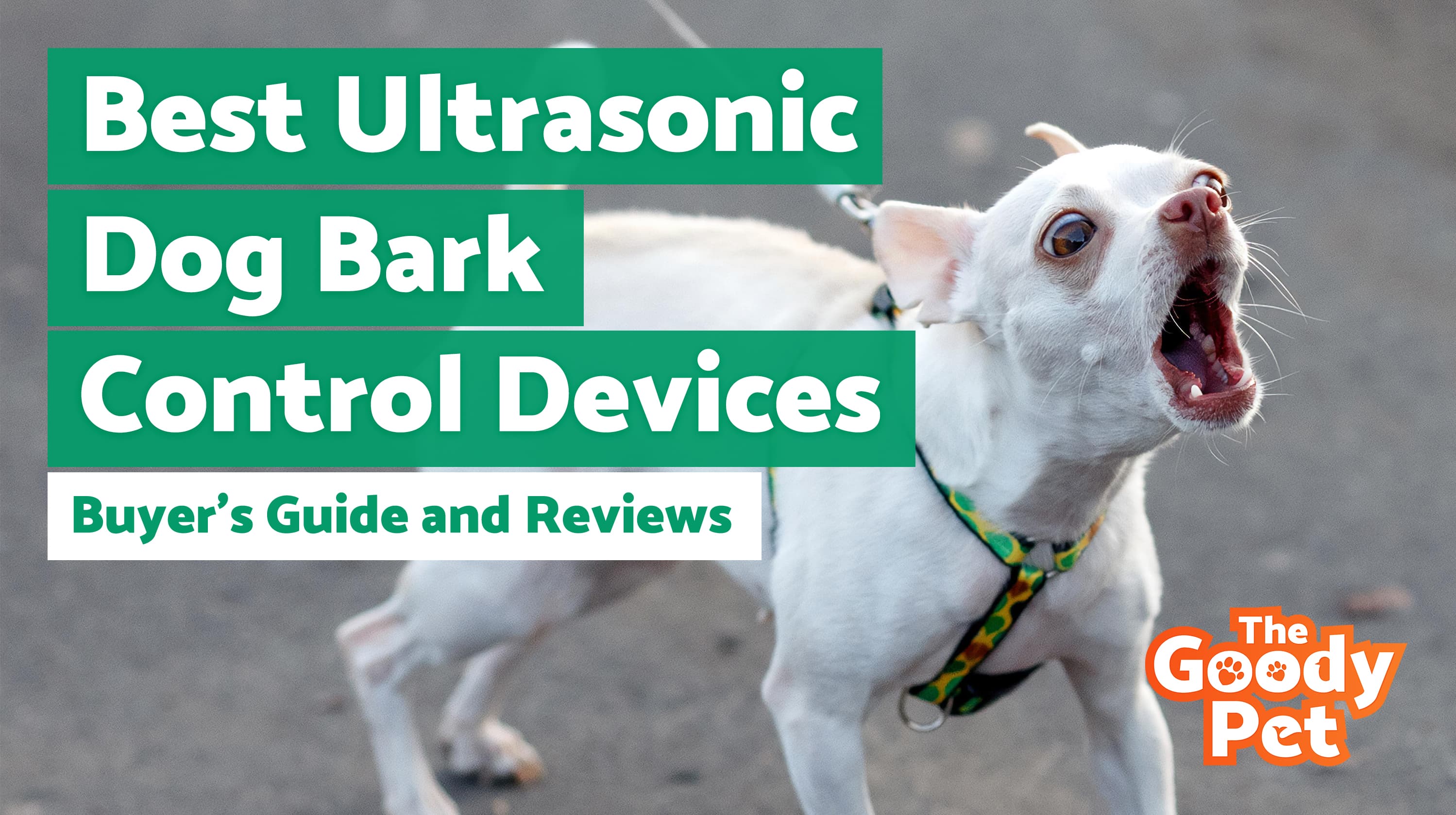 Best Ultrasonic Bark Control Devices For Your Furry Friend – Our 2019 Reviews & Top Picks