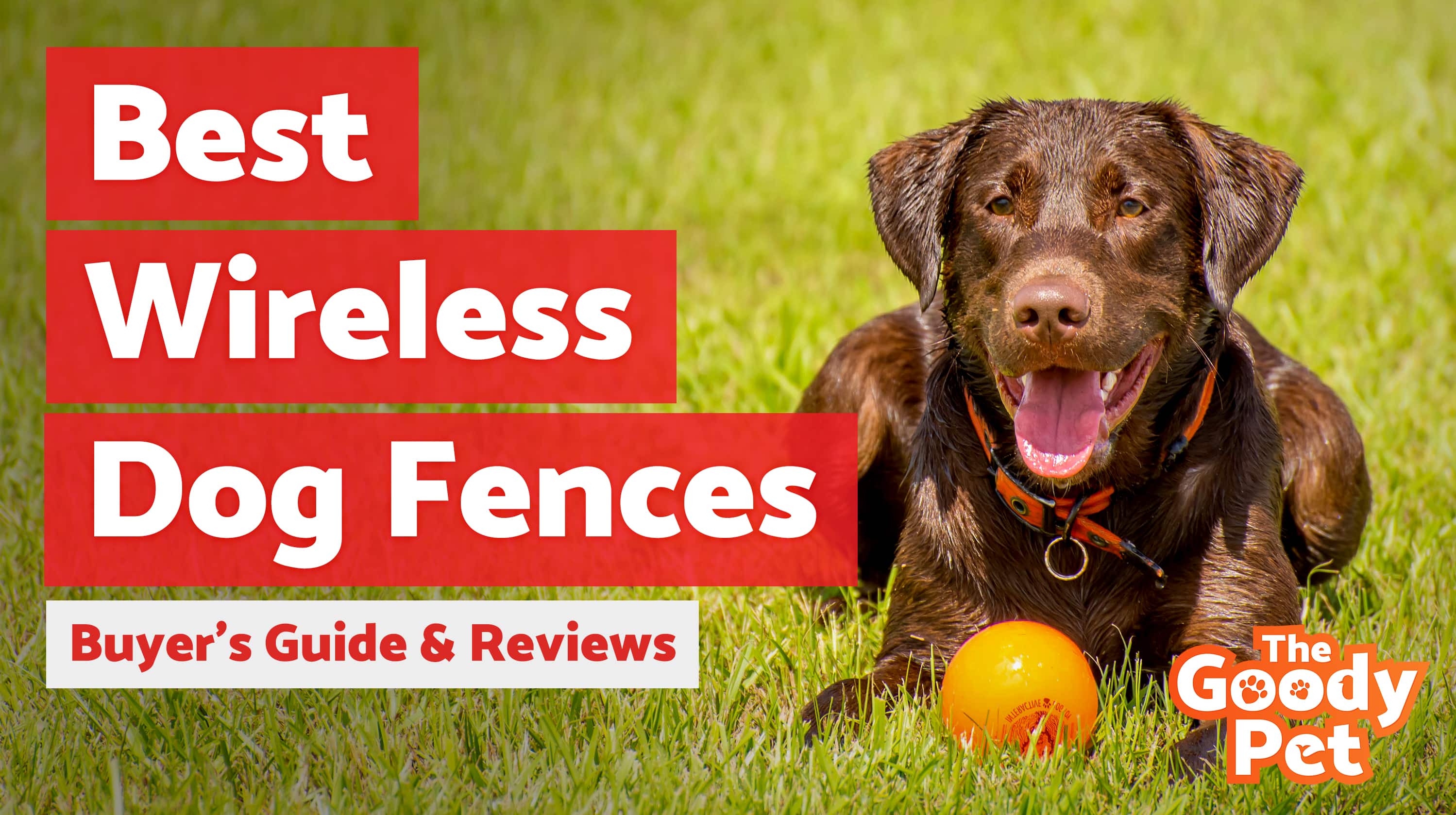 Best Wireless Dog Fence Systems (December 2019) TheGoodyPet