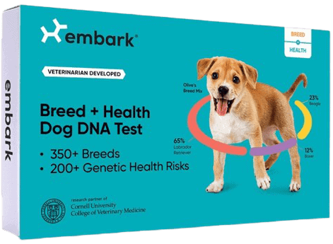 Embark Dog DNA Test Kit