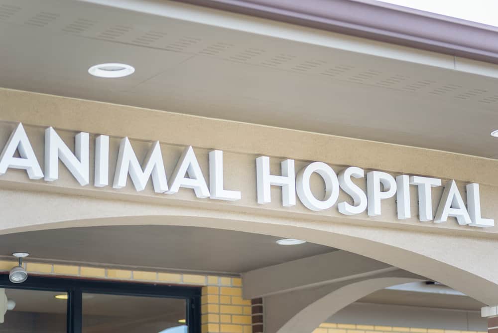 Search For Local Emergency Vets and Animal Hospitals Near You Search For Local Emergency Vets and Animal Hospitals Near You