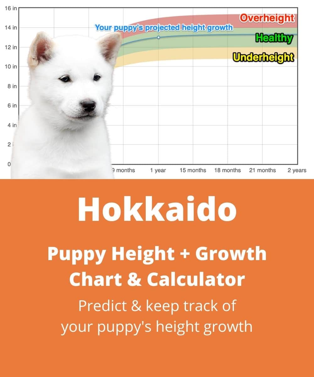 hokkaido Puppy height Growth Chart hokkaido Puppy height Growth Chart