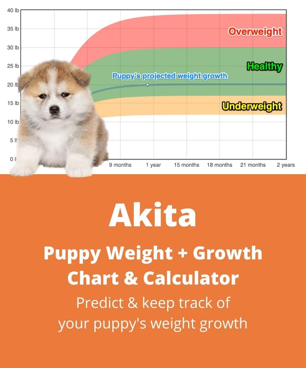 akita Puppy Weight Growth Chart