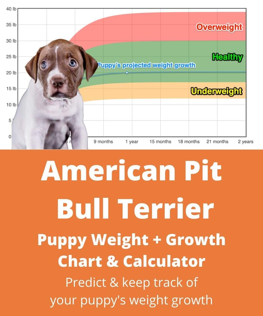 how much weight can a dog lose in a month