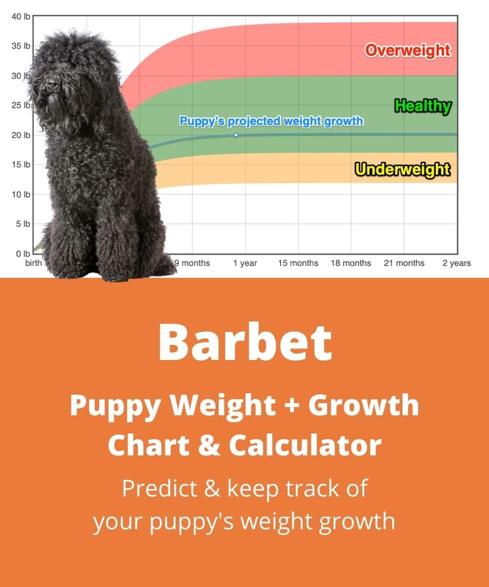 barbet Puppy Weight Growth Chart