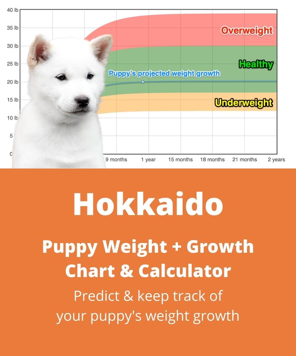 hokkaido Puppy Weight Growth Chart