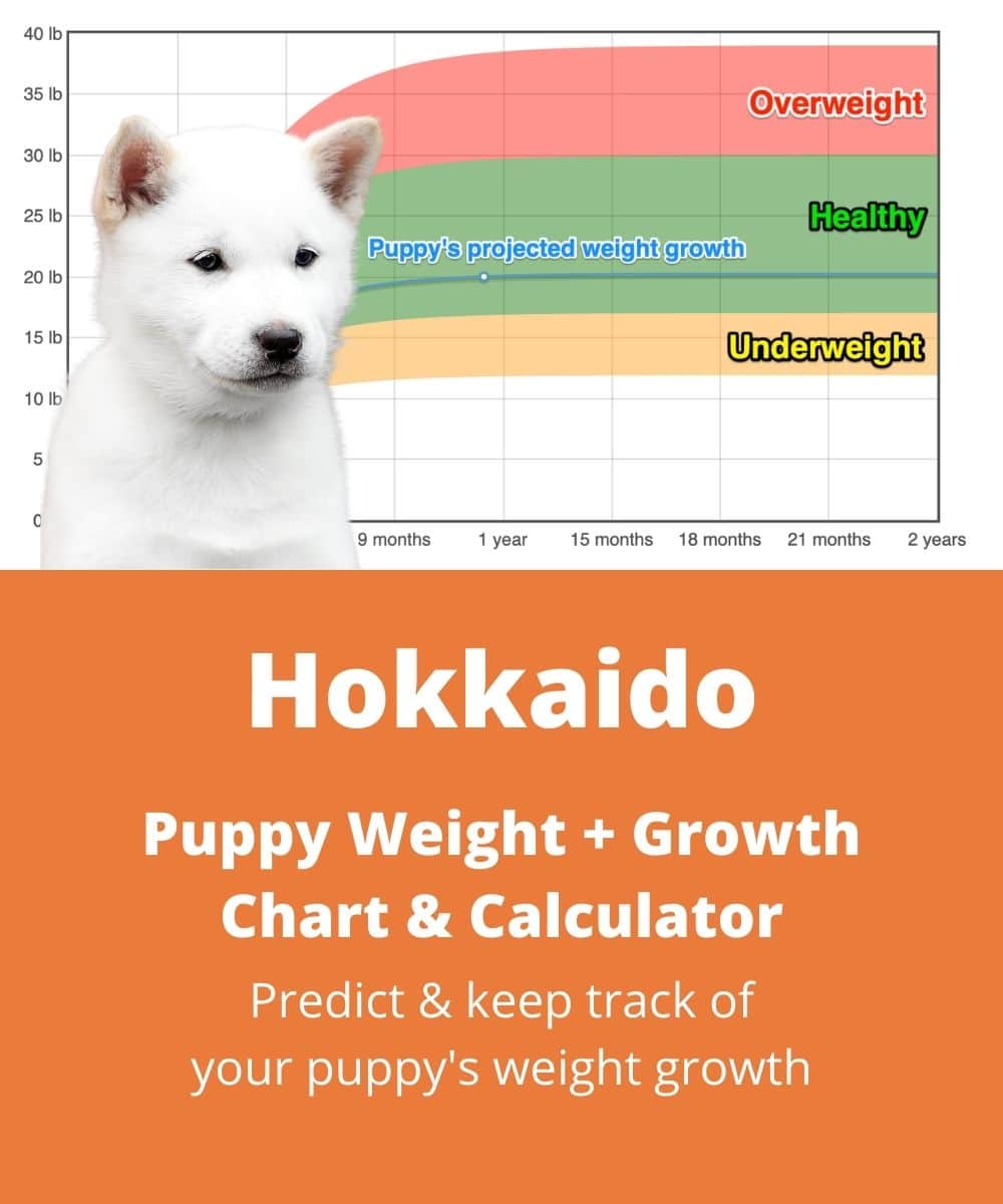 ainu-inu Puppy Weight Growth Chart ainu-inu Puppy Weight Growth Chart