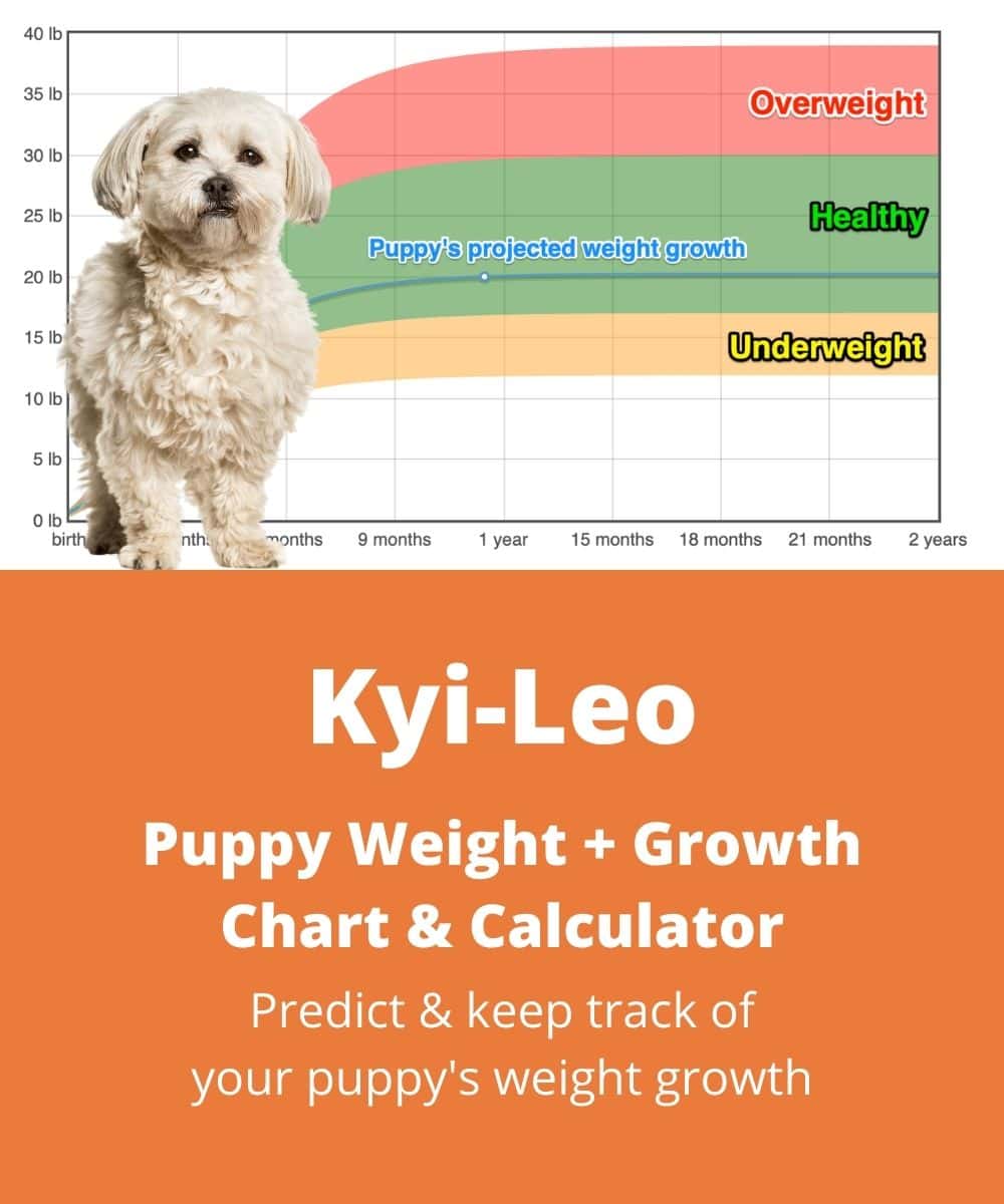 kyi-leo Puppy Weight Growth Chart