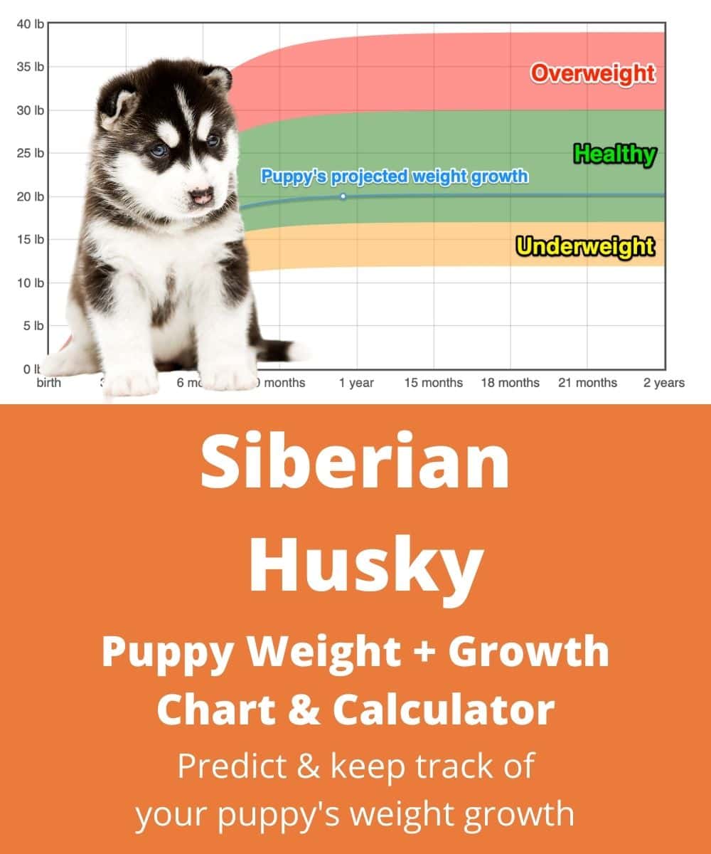 Ralph Husky Size Chart