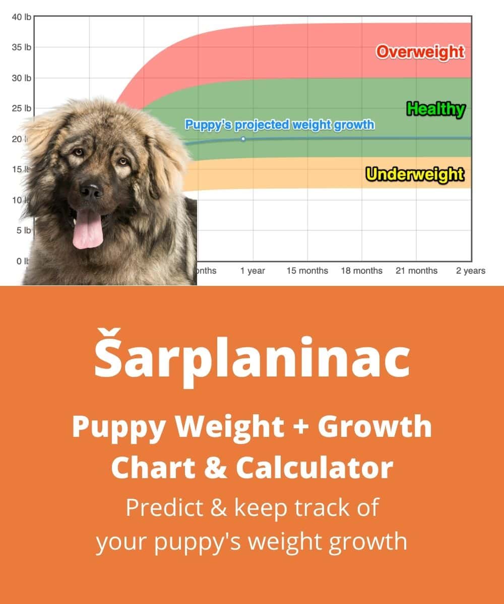 sarplaninac Puppy Weight Growth Chart