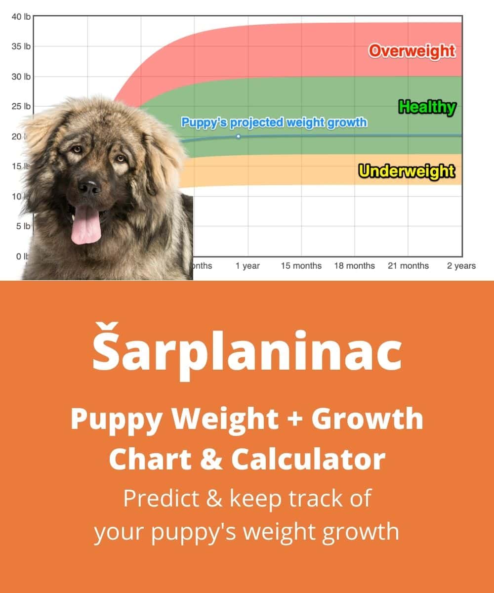 illyrian-sheepdog Puppy Weight Growth Chart illyrian-sheepdog Puppy Weight Growth Chart