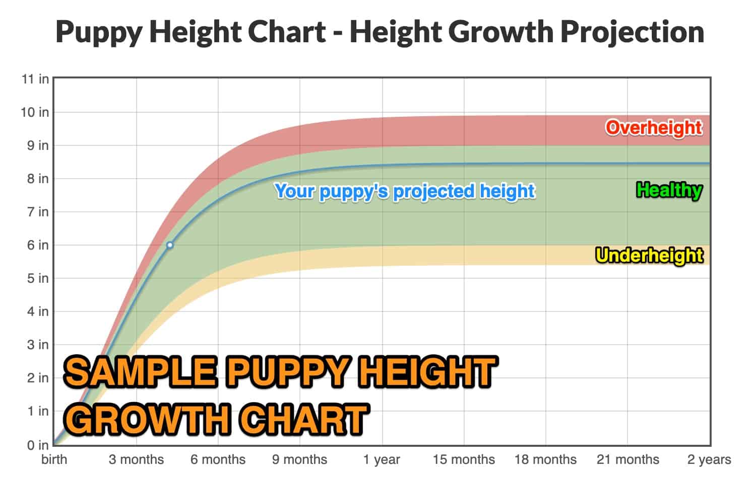 Puppy height Growth Chart