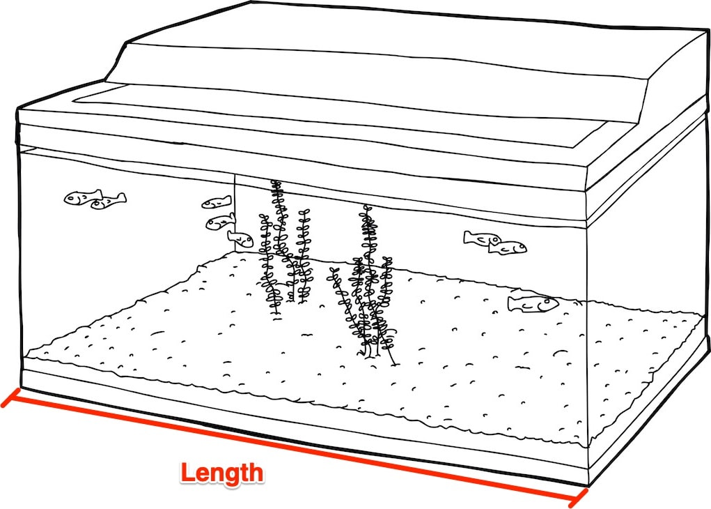 Fish Tank Length