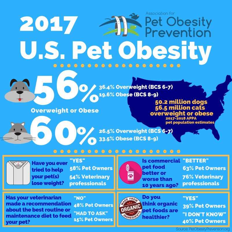 https://www.thegoodypet.com/packs/media/images/pet_obesity.png