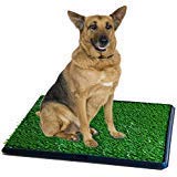 Synturfmats Pet Potty Patch Training Pad for Dogs Indoor or Outdoor Use, Large Size 20'x30'