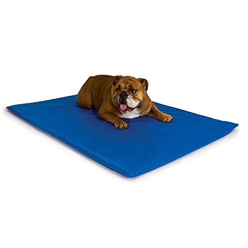 K&H Pet Products Cool Bed III Cooling Dog Bed Medium Blue 22' x 32'
