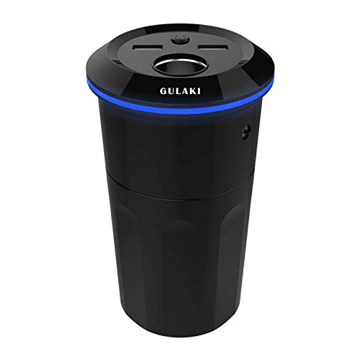 Gulaki Car Diffuser Essential Oils - Multifunction Cool Mist Car Humidifier with 2 USB Port and 1...