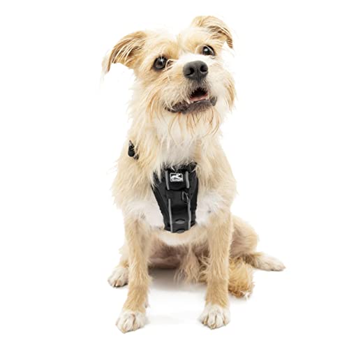 Kurgo Dog Harness | Pet Walking Harness | Small | Black | No Pull Harness Front Clip Feature for...