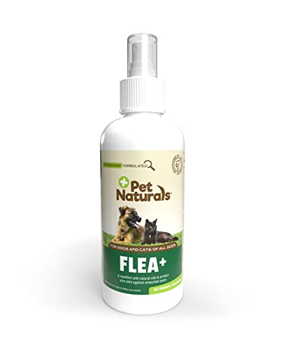 Pet Naturals Flea and Tick Prevention Spray with Natural Oils for Dogs and Cats, 8 Ounce - Safe for...