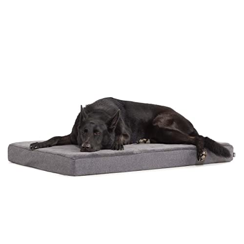 Barkbox Memory Foam Platform Dog Bed | Plush Mattress for Orthopedic Joint Relief (X-Large, Grey)