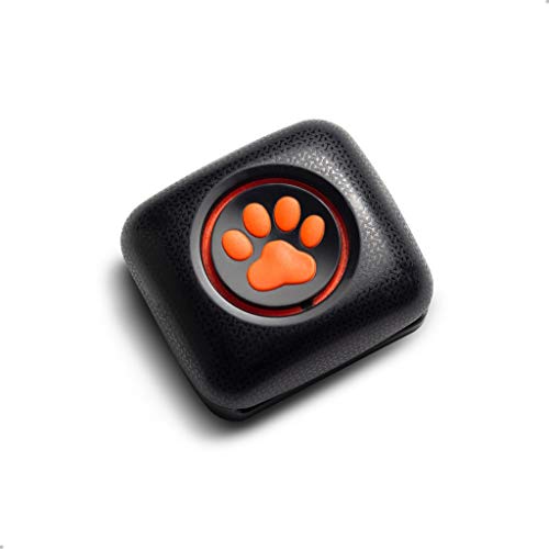 PitPat Dog Activity and Fitness Monitor (no GPS) - Lightweight and Waterproof with no Recharging or...