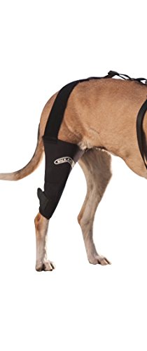 Canine Knee Brace :3.0 mm neoprene support sleeve