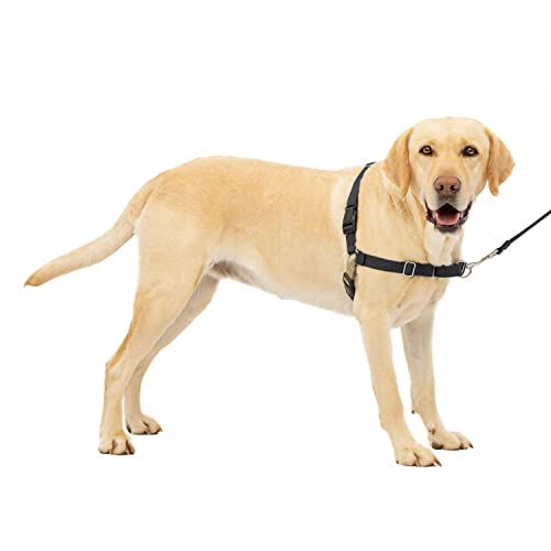 PetSafe Easy Walk Dog Harness, No Pull Dog Harness, Black/Silver, Large (EWH-HC-L-BLK)