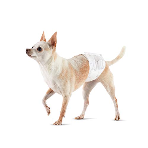 Amazon Basics Male Dog Wrap, Disposable Diapers for Male Dog Only, X-Small - Pack of 30