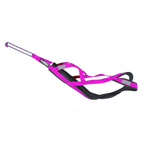 Neewa Sled Pro Harness (X-Large, Pink), Dog Pulling Harness, Husky Harness, Mushing Harness, X Back...